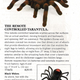 Image for article titled 19 Crappy & Crazy Christmas Gifts From Sky Mall